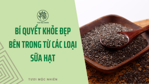 Các Loại Sữa Hạt và Công Dụng Của Nó – Bí Quyết Khỏe Đẹp Từ Thiên Nhiên