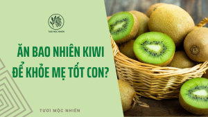 Ăn Bao Nhiêu Kiwi Để Khỏe Mẹ Tốt Con -Tươi Mộc Nhiên