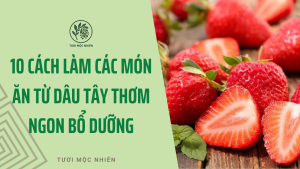 10 Cách Làm Các Món Ăn Từ Dâu Tây Thơm Ngon Bổ Dưỡng - Tươi Mộc Nhiên