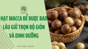 Hạt Macca để được bao lâu? Cách bảo quản giữ trọn độ giòn và dinh dưỡng - Tươi Mộc Nhiên