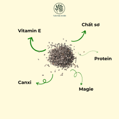 hạt chia
