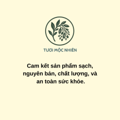 Hạt tươi mộc nhiên