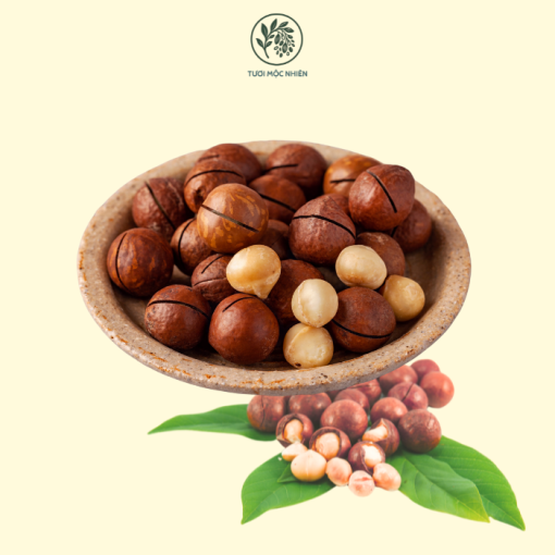 hạt macca để được bao lâu