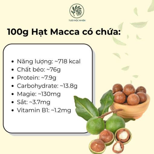 hạt macca TMN