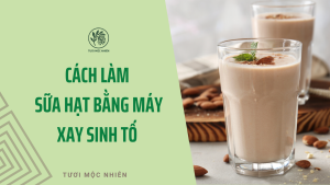 Cách làm sữa hạt bằng máy xay sinh tố