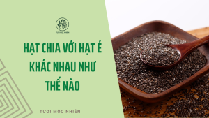 hạt chia với hạt é