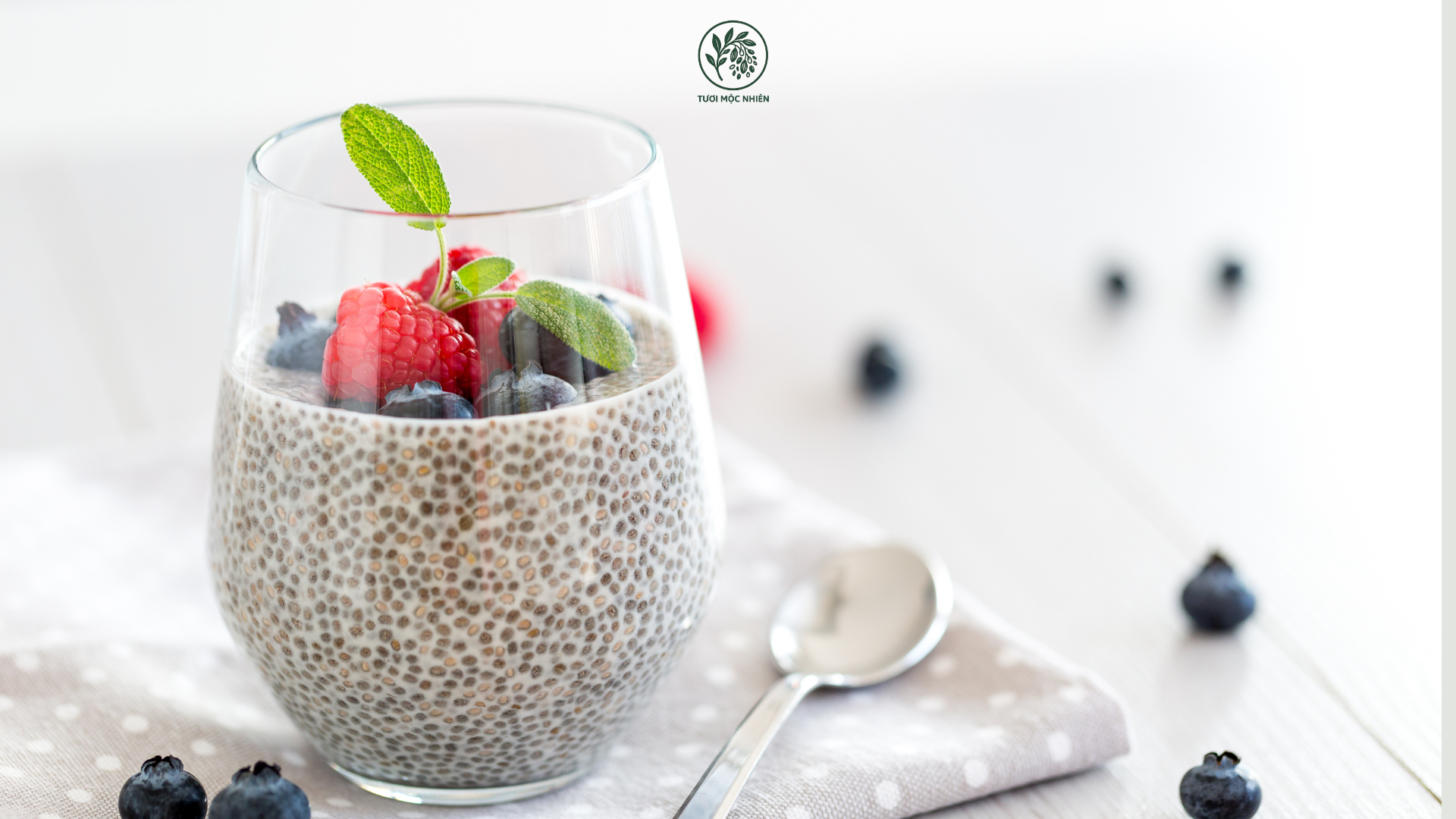 Hạt chia có tác dụng gì