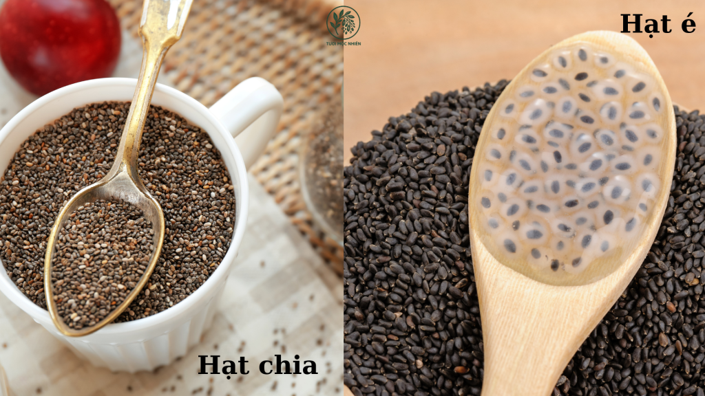hình dạng hạt chia với hạt é