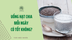 uống hạt chia mỗi ngày có tốt không