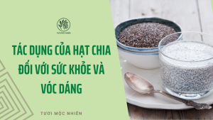tác dụng của hạt chia đối với sức khỏe và vóc dáng