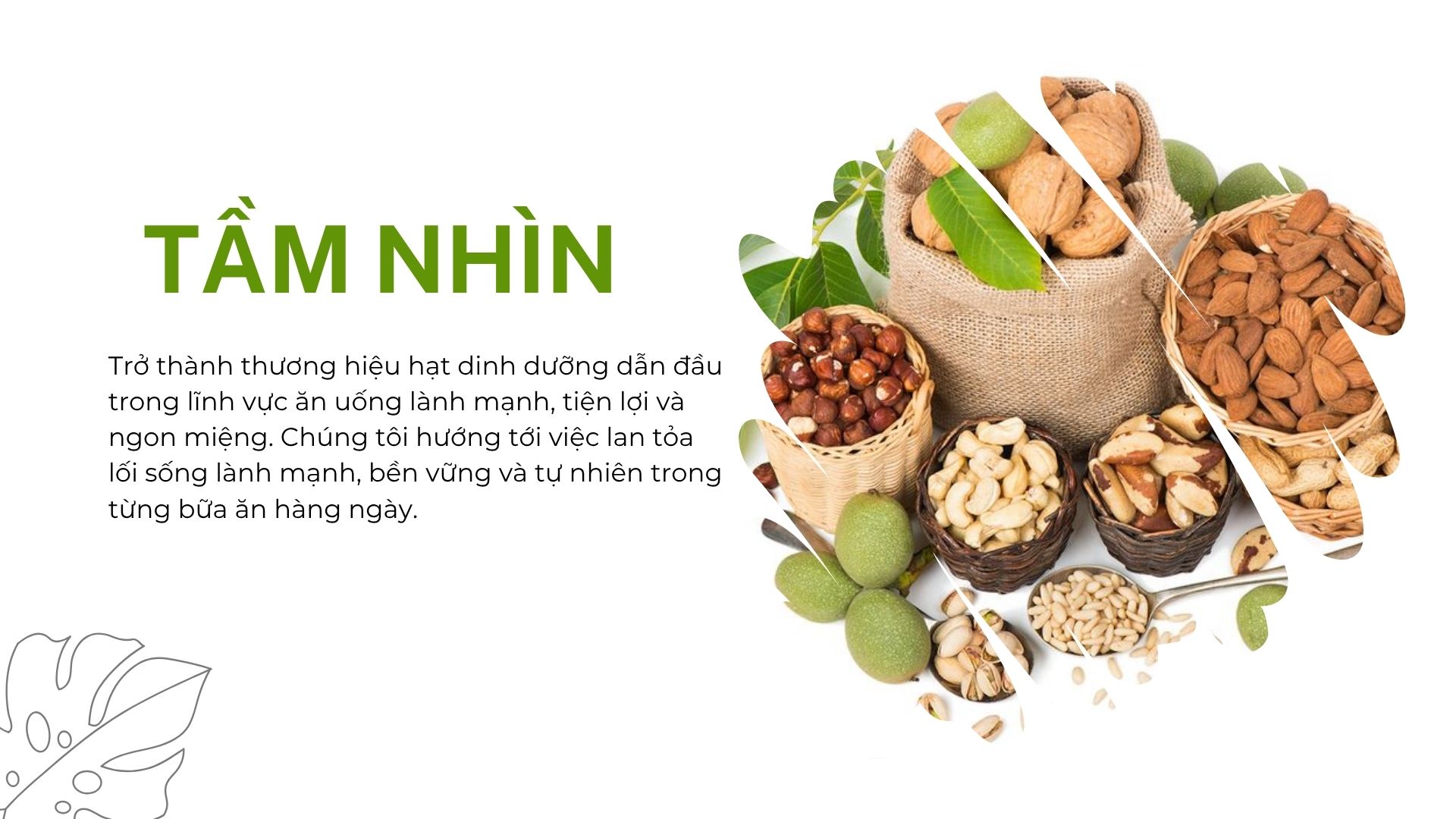 tầm nhìn