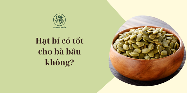 hạt bí có tốt cho bà bầu không TMN