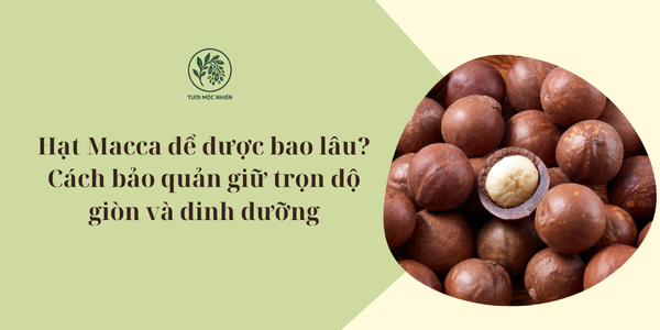 Hạt macca để được bao lâu
