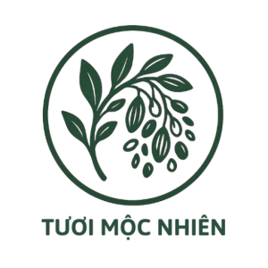 Hạt dinh dưỡng - Tươi Mộc Nhiên, cung cấp các sản phẩm dinh dưỡng chất lượng và an toàn, ví sức khỏe của bạn luôn là hàng đầu với chúng tôi. Khám phá ngay nhé!