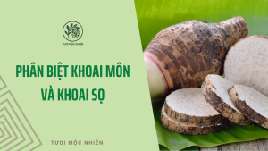PHÂN BIỆT KHOAI MÔN VÀ KHOAI SỌ CÙNG TƯƠI MỘC NHIÊN