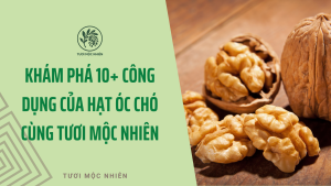 Khám phá 10+ Công Dụng Của Hạt Óc Chó cùng Tươi Mộc Nhiên