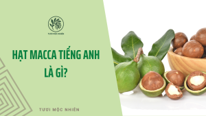 hạt macca tiếng anh là gì? đọc như thế nào