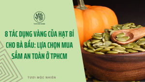 8 Tác Dụng Vàng Của Hạt Bí Cho Bà Bầu: Lựa Chọn Mua Sắm An Toàn Ở TPHCM
